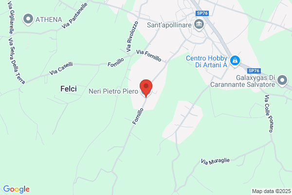 Neri piero (Ing.)