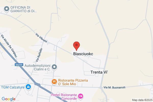 Bigiesse S.R.L.