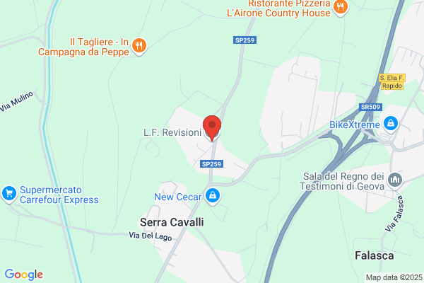 L.F. Revisioni