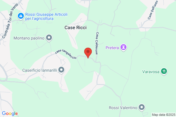 Veroli alberto