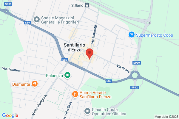 Il Ricciolo (S.N.C.)