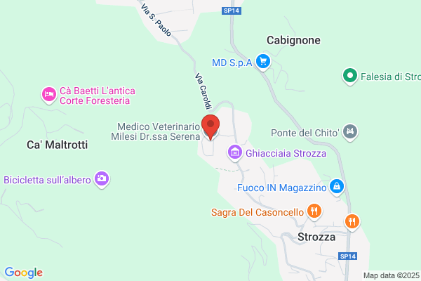 Medico Veterinario Milesi Dott.ssa Serena