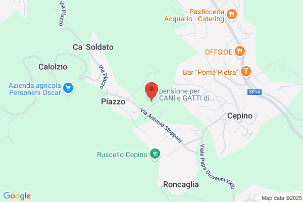 Pizzagalli guido