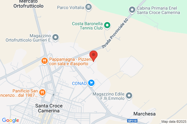 Leta alfonso (Arch.)