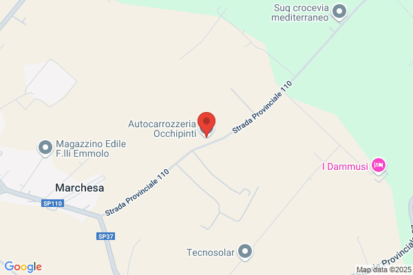Occhipinti irene