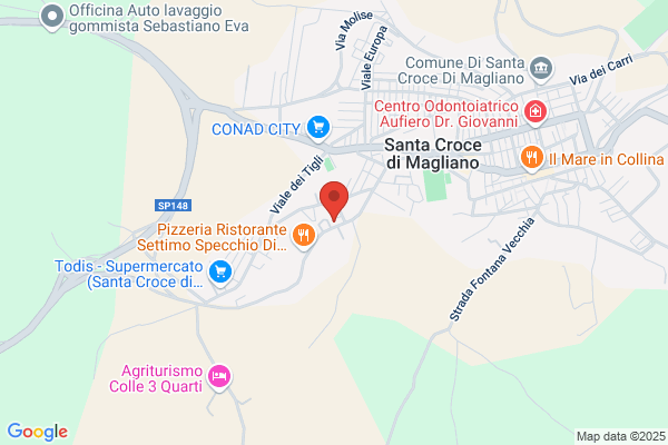 Sintesi Di Ciavarra Antonio E Luciano S.D.F.