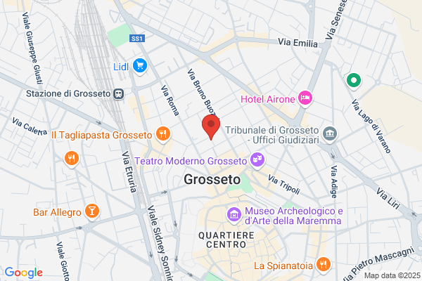 Ina Assitalia Grosseto Luigi Franco Moretti & c. sas