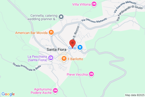 Pizzeria Trattoria  Al Ponte