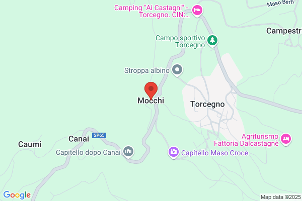 Mocchi Carolina