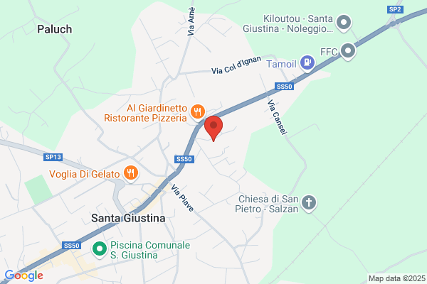 Ambulatorio Veterinario Santa Giustina Dr. Carcich - Dr. piazza
