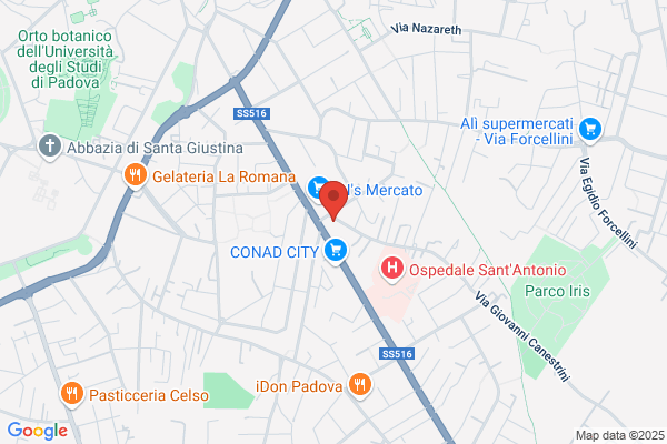 Pizzeria Ristorante O' Saraceno
