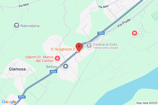 Ristorante Pizzeria O' Scugnizzo