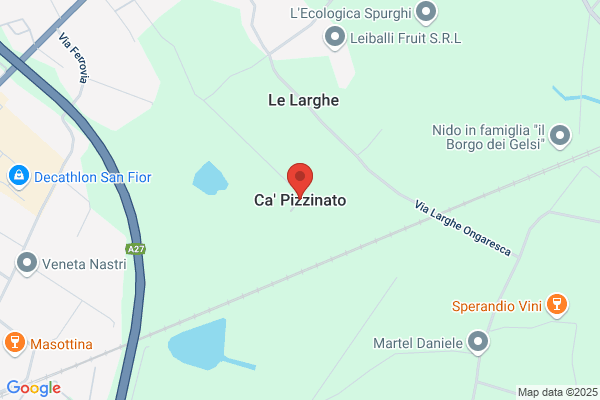 Pizzinato lodovico