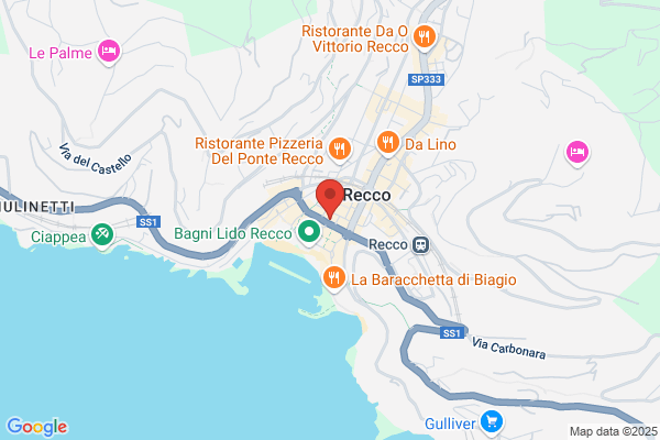 Mazzini Dr. Riccardo