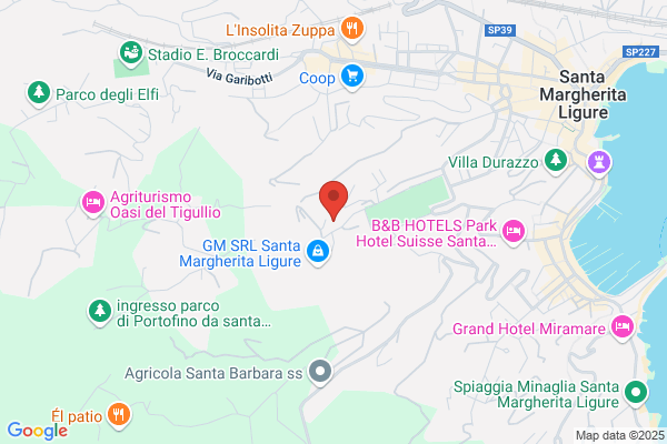 Motor Service Di Sapia remo