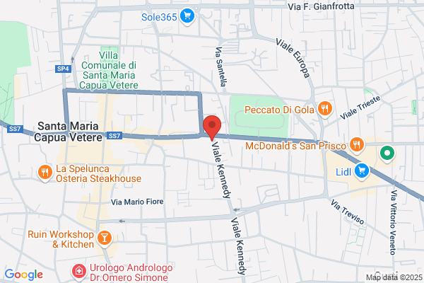 Vanvitelliana Automotive
