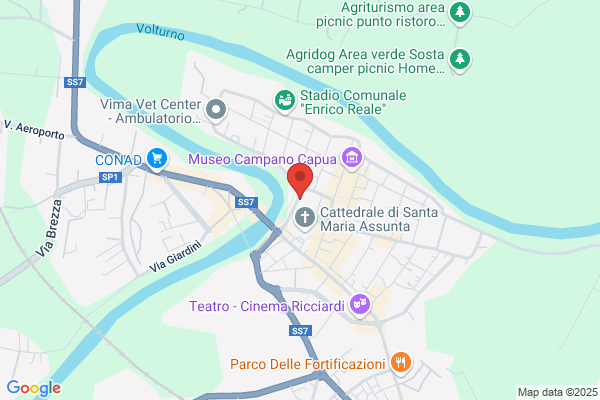 Istituto Superiore Di Scienze Religiose
