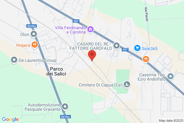 Capua Center