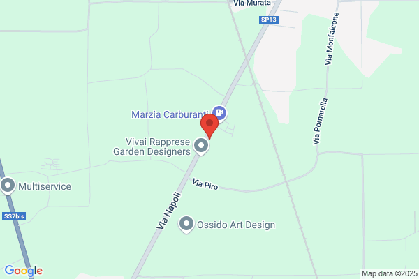 Palma pietro E C. Sas