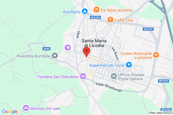 Delta Di Rosario Guzzardi S.N.C.