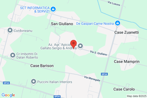 Mamprin marino
