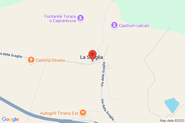 Pistola caterina