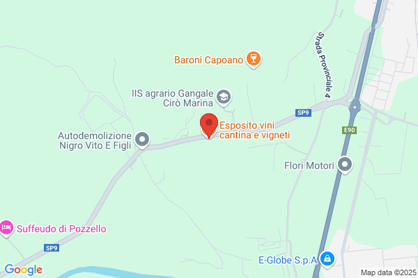 Esposito Srl