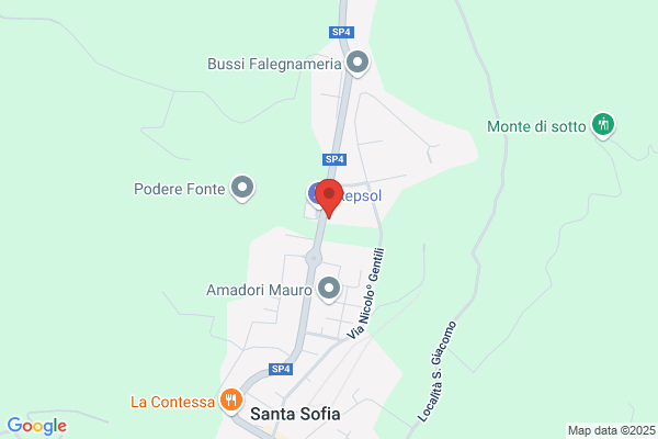 Fiori e piante