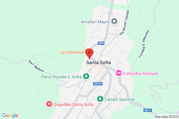 Parco Nazionale Foreste Monte Falterona E Campigna