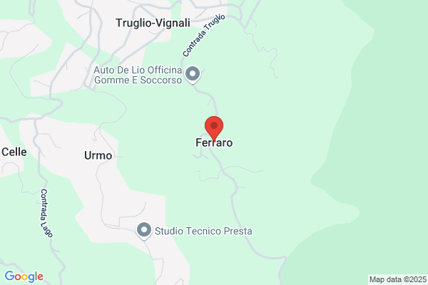 Ferraro Berina