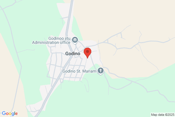 Godino Angelo