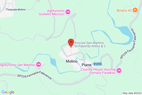 Avicola San Martino sas