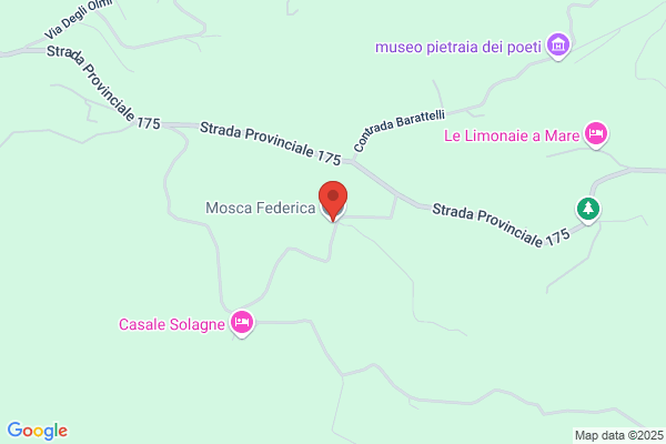 Mosca gabriele