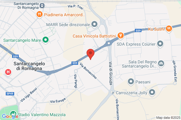 Magnani enrico