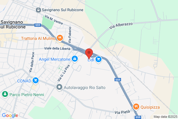 Officina Romagna Dei F.Lli Fabbri Arnaldo E giovanni (S.N.C.)