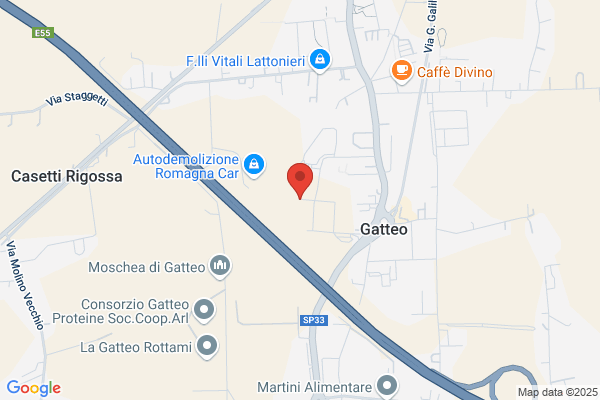 Vip Daf Veicoli Industriali Piva