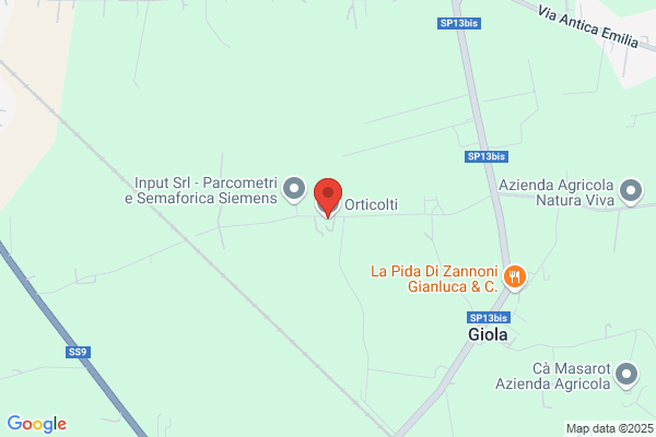 Togni aldo