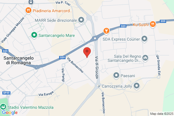 Nuova Balducci Zavatti E Soci S.R.L.