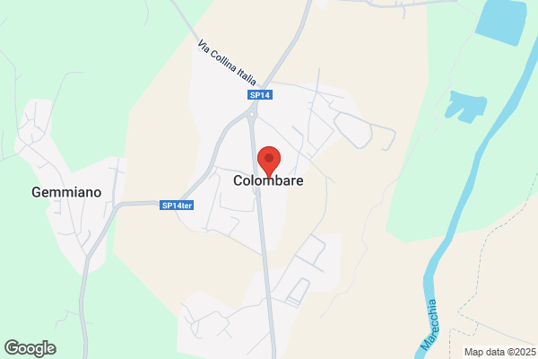 Paglierani Costruzioni Meccaniche Di Antolini Primo & C. s.A.
