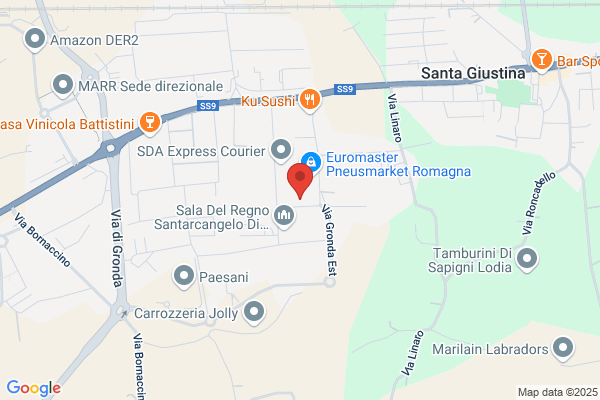 Nuova C.E.I.Di Bertozzi Fausto. Pecci Stefano E toni Fabio Snc