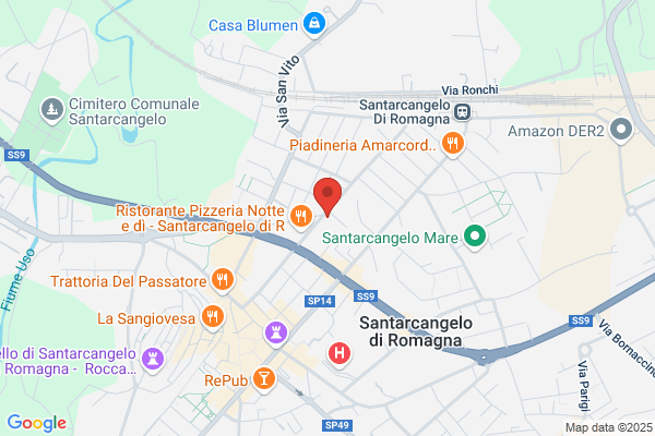 Radio Record Rete Romagna Di Donatella Raggini e c. s.N.C.