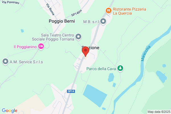 Ristorante Pizzeria Brusarul