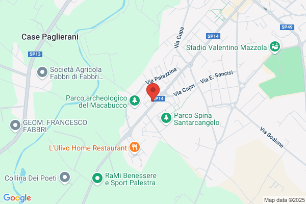 Magnanelli livio