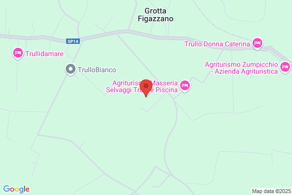 Zizzi Vitantonio E Zizzi Quirico Sdf