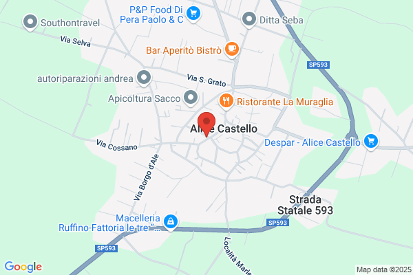 Salussolia pietro