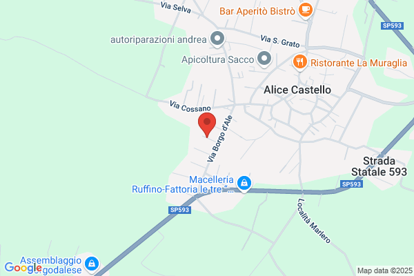 Miglietta antonella (Rag.)