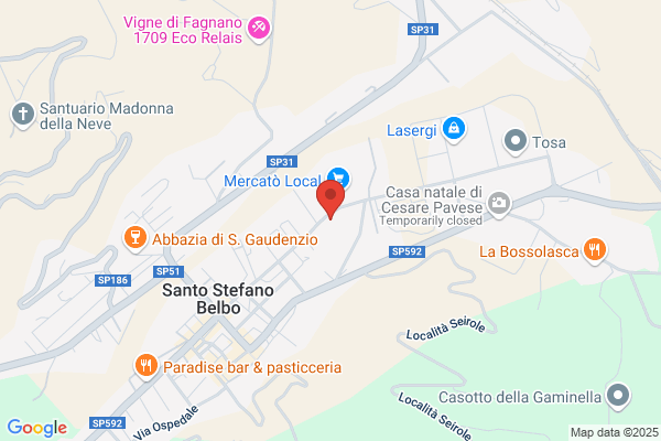 Pavese angelo