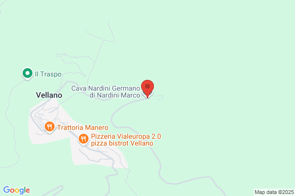 Nardini marco