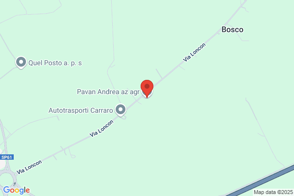 Pavan andrea
