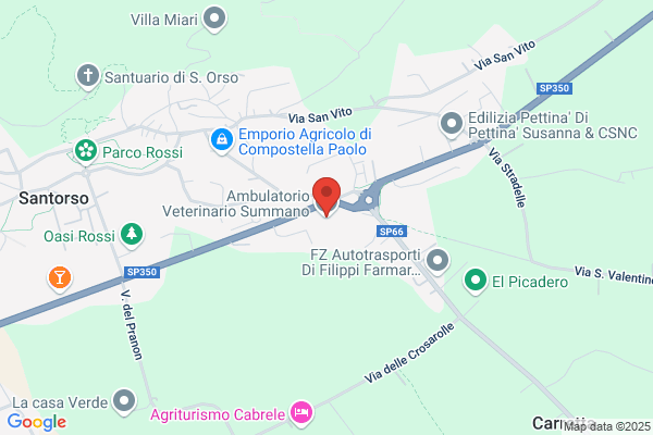 Ambulatorio Veterinario Summano Della Dr.Ssa Fontanarosa Stefania